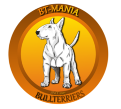 btmania_logo.png